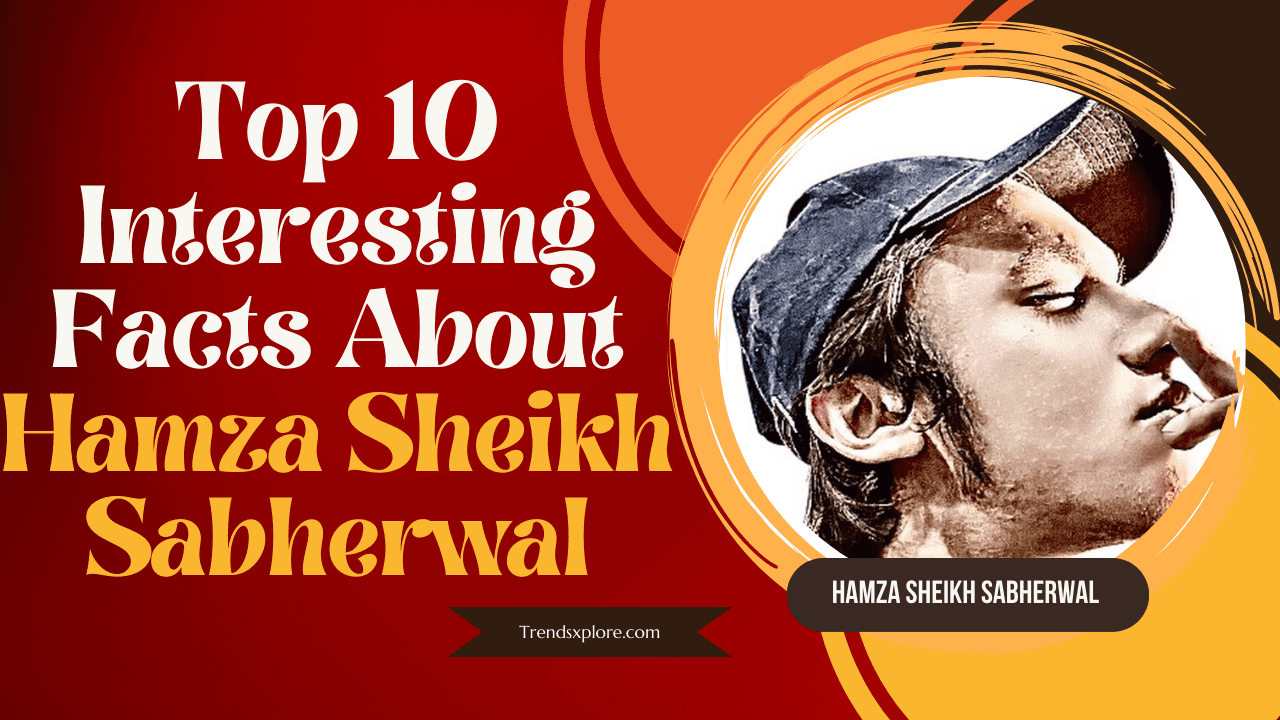 Top 10 Interesting Facts About Hamza Sheikh Sabherwal